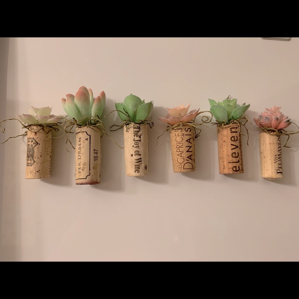 Succulent Wine Cork Magnets